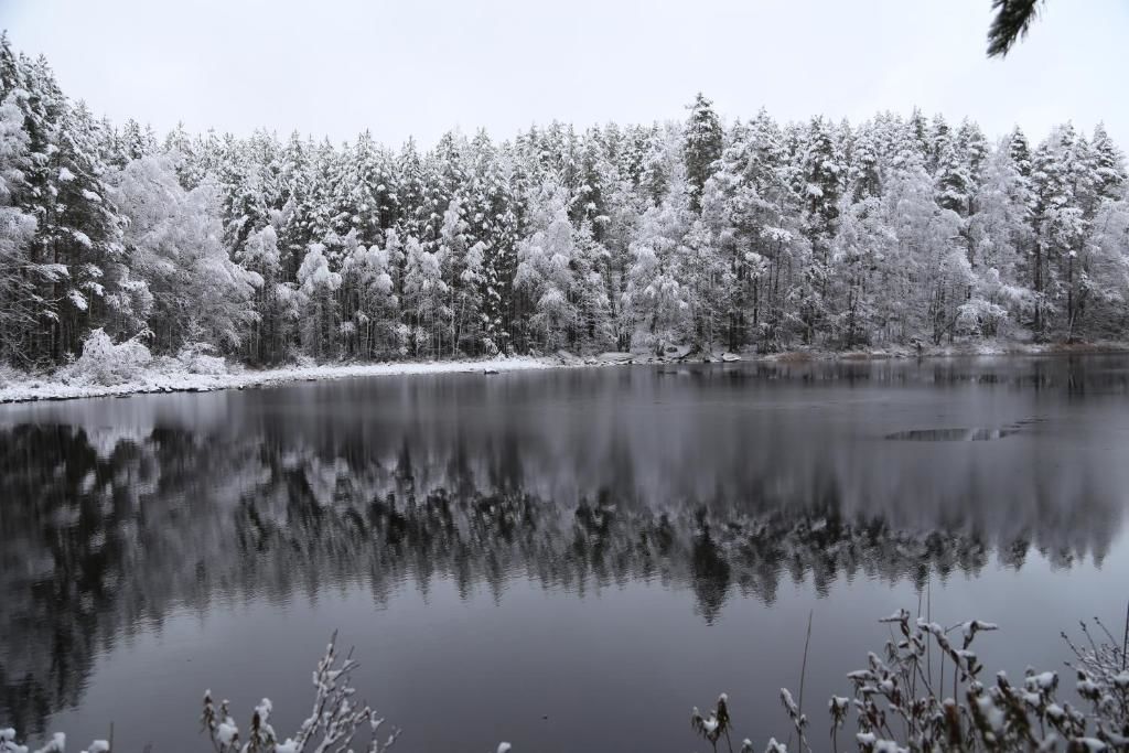 Шале Linkkumylly Cottages Nuolniemi