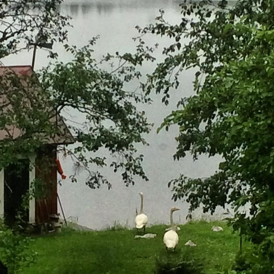 Шале Linkkumylly Cottages Nuolniemi-9